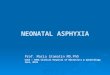 NEONATAL ASPHYXIA Prof. Maria Stamatin MD,PhD CUZA – VODA Clinical Hospital of Obstetrics & Gynaecology Iasi, NICU