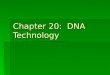 Chapter 20: DNA Technology. Important Terminology:  Recombinant DNA: DNA in which nucleotide sequences from 2 different sources (can be from different