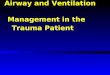 Airway and Ventilation Management in the Trauma Patient