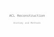 ACL Reconstruction Anatomy and Methods. ACL Tear Anatomy 1