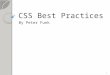 CSS Best Practices By Peter Funk 1. Web development since 1996 Senior Front-end web developer at Ancestry.com Proficient at CSS, HTML, and native JavaScript