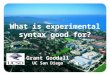 What is experimental syntax good for? Grant Goodall UC San Diego 1