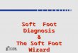 Soft Foot Diagnosis & The Soft Foot Wizard. Detection vs. Correction The amount of Soft Foot detected does not equate to the required Soft Foot correction!
