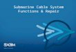 COMMERCIAL–IN-CONFIDENCE Submarine Cable System Functions & Repair