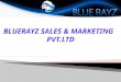 BLUE RAYZ is diversified business corporation with balance portfolio in various sectors. BLUE RAYZ is led by team of experienced professionals. BLUE RAYZ