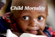Child Mortality. The Focus of the Committee What we focused on the most was Reducing Child Mortality. –Raising the awareness of the general public starting