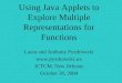 Using Java Applets to Explore Multiple Representations for Functions Laura and Anthony Pyzdrowski  ICTCM, New Orleans October 30, 2004