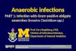 Anaerobic infections PART 1: Infection with Gram-positive obligate anaerobes (Invasive Clostridium spp.) Prof. Cary Engleberg, M.D. Division of Infectious
