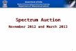 11 Spectrum Auction November 2012 and March 2013