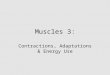 Muscles 3: Contractions, Adaptations & Energy Use