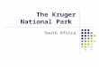 The Kruger National Park South Africa. History 1806 British secured possession of the Cape colony from the Dutch 1835-1837 The Great Trek The Boers trek