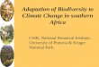 Adaptation of Biodiversity to Climate Change in southern Africa CSIR, National Botanical Institute, University of Pretoria & Kruger National Park