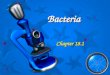 Bacteria Chapter 18.1 1. Three Domains of Life Bacteria - Cyanobacteria and eubacteria Bacteria - Cyanobacteria and eubacteria Archaea – prokaryotes living