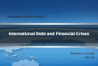 International Political Economy-- International Debt and Financial Crises Professor Yu Xunda 2013. 05