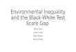 Environmental Inequality and the Black-White Test Score Gap Anna Aizer Janet Currie Peter Simon Patrick Vivier