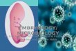 TABLE OF CONTENTS  Embryology  Microbiology EMBRYOLOGY  Vocabulary Vocabulary  Stages Stages  Processes Processes