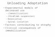 Unloading Adaptation Experimental models of decreased use – (Immobilization) – (Hindlimb suspension) – Denervation – Spinal isolation Factors contributing