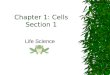 Chapter 1: Cells Section 1 Life Science. Do you Remember?  All living things are organized…  A Cell is the basic unit of structure in living things