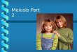 Meiosis Part 2. The End result… Let’s Compare Why aren't these siblings identical?