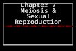 Chapter 7 Meiosis & Sexual Reproduction. Do you remember… (mitosis) This chapter deals with making cells that are genetically different through meiosis!