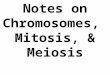 Notes on Chromosomes, Mitosis, & Meiosis What is a chromosome? Chromosomes = condensed DNA, same material, coiled more tightly into individual bundles