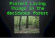 Protect Living Things in the deciduous forest. Goal Protect living things in the deciduous forest