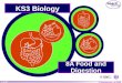© Boardworks Ltd 2004 1 of 20 © Boardworks Ltd 2005 1 of 27 KS3 Biology 8A Food and Digestion