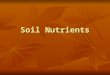 Soil Nutrients. Deciduous ConiferousPrairie Soil = f (Climate, Parent material, Living organisms, Topography, Time )