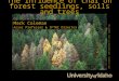 The influence of char on forest seedlings, soils and trees Mark Coleman Assoc Professor & IFTNC Director Ladd Livingston, Idaho Department of Lands, Bugwood.org