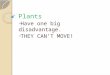 Plants Have one big disadvantage. THEY CAN’T MOVE!