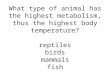 What type of animal has the highest metabolism, thus the highest body temperature? reptiles birds mammals fish