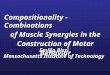 Compositionality - Combinations of Muscle Synergies in the Construction of Motor Behavior Emilio Bizzi Massachusetts Institute of Technology