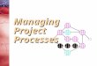 Managing Project Processes Managing Project Processes