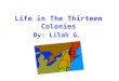 Life in The Thirteen Colonies By: Lilah G. Thomas Jefferson Wrote the Declaration of Independence. Benjamin Franklin Founder of Electricity. Founding