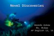 Novel Discoveries Amanda Askew Ms. McGee AP English 12, 1A