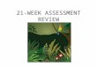 21-WEEK ASSESSMENT REVIEW. What is commensalism? One species benefits with no harm or affect on the other