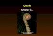 Growth Chapter 11 Copyright © McGraw-Hill Companies Permission Required for Reproduction or Display