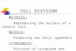 CELL DIVISION MITOSIS: Reproducing the nucleus of a somatic cell. MEIOSIS: Producing sex cells (gametes). CYTOKINESIS: Division of cytoplasm and organelles