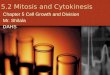 5.2 Mitosis and Cytokinesis Chapter 5 Cell Growth and Division Mr. Shilala DAHS