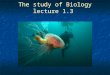 The study of Biology lecture 1.3. Science as a process Uses an organized approach to learn how the natural world works. Uses an organized approach to