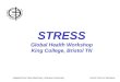 God’s Plan for Wellness STRESS Global Health Workshop King College, Bristol TN Adapted from Skip MacCarty, Andrews University