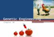 Genetic Engineering Chapter 10. What we are hoping to accomplish Define genetic engineering. Explain the principles of genetic engineering. Explain and