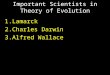 Important Scientists in Theory of Evolution 1.Lamarck 2.Charles Darwin 3.Alfred Wallace
