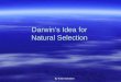 Darwin’s Idea for Natural Selection By Kristi Schramm