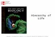 Hierarchy of Life Copyright © The McGraw-Hill Companies, Inc. Permission required for reproduction or display