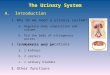 The Urinary System 1.Why do we need a urinary system? A. Introduction a.Regulate body composition and volume b.Rid the body of nitrogenous wastes c.Maintain