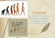 15.1 Evidence of Evolution 15.6 Domains & Kingdoms 15.8 Origin of Life 15.13 Natural Selection Evolution