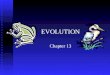 EVOLUTION Chapter 13. Darwin’s Theory of Evolution Evolution, or change over time, is the process by which modern organisms have descended from ancient