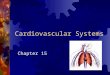 Cardiovascular Systems Chapter 15. The Heart 4 Chambers of the Heart 2 smaller chambers are called an atrium 2 lower chambers are called ventricles The