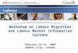 Workshop on Labour Migration and Labour Market Information Systems February 24-25, 2009 Québec City, Canada